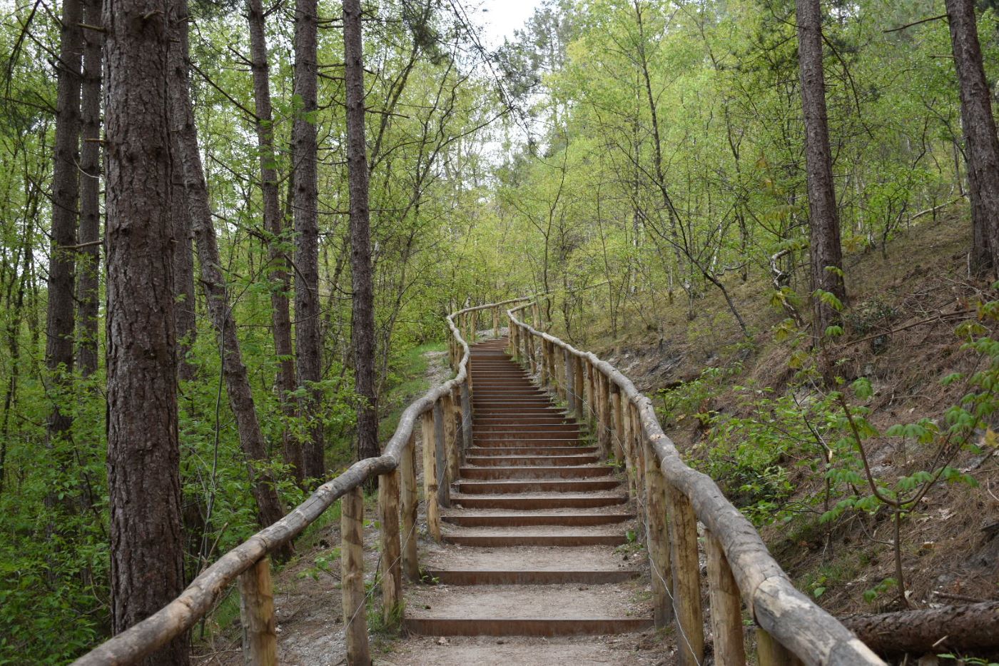 Buitengewoon Vitaal | Angela Alsemgeest | Wandelcoaching | losse wandeling kort traject